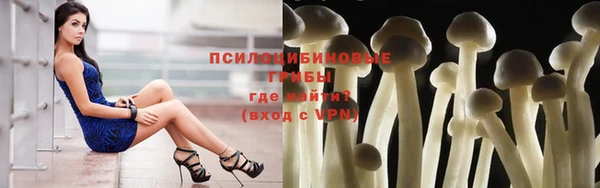 apvp Кукмор