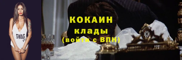 винт Лабытнанги