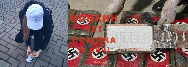 винт Лабытнанги