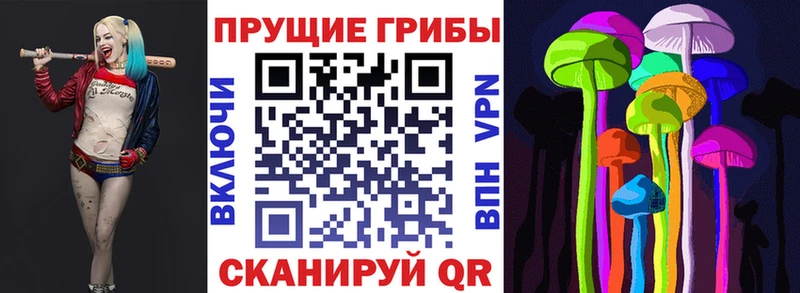 Псилоцибиновые грибы Magic Shrooms Купить закладки Крымск